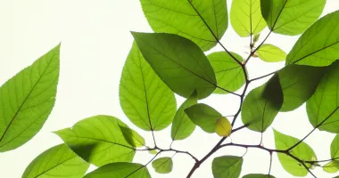 БЕЗОПАСНОСТЬ ТРУДА – НАША ЦЕЛЬ!